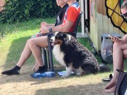5. Turnier der Beachvolleyball-Turnierserie Friesenbeach-Cup 2026